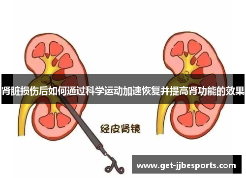 肾脏损伤后如何通过科学运动加速恢复并提高肾功能的效果